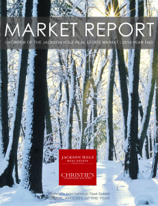 Market Report_2014_Year End_Cover Photo